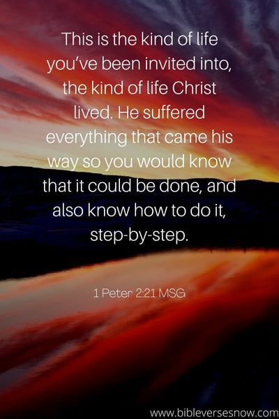 1 Peter 2_21 MSG