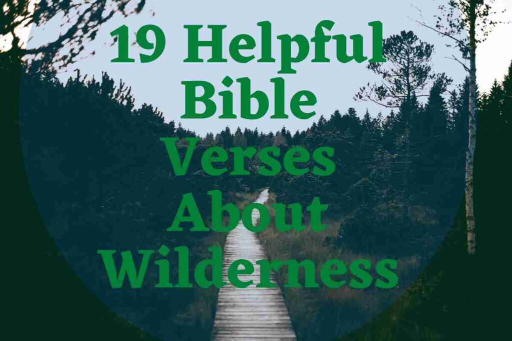 9 Bible Verses About Wilderness – Bible Verses of the day