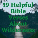 19 Helpful Bible Verses About Wilderness