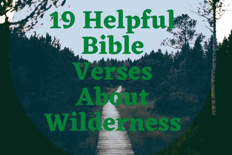 19 Helpful Bible Verses About Wilderness