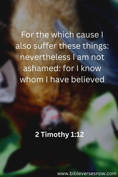 2 Timothy 1 12