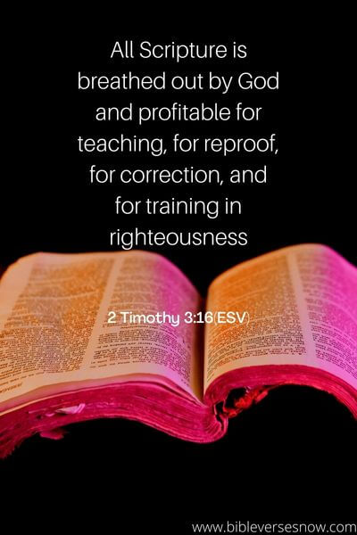 2 Timothy 3_16(ESV) (1)