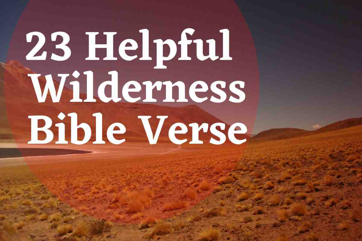 23 Helpful Wilderness Bible Verse