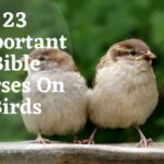 23 Important Bible Verses On Birds