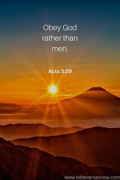 Acts 5_29