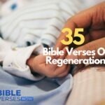 Bible Verses On Regeneration