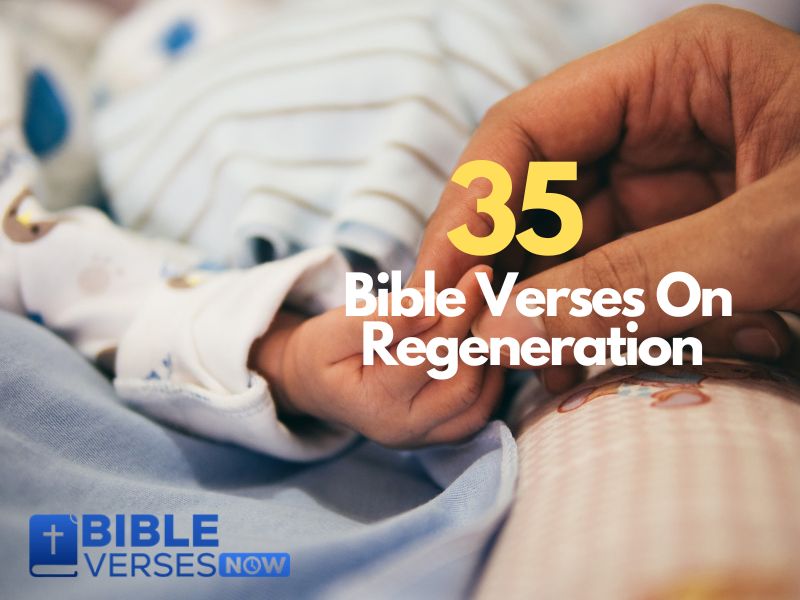 Bible Verses On Regeneration
