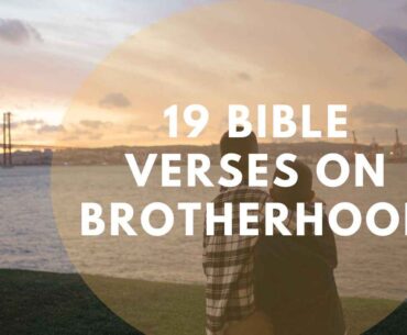 19 Bible verses on brotherhood