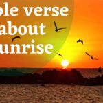 8 Helpful Bible Verse About Sunrise