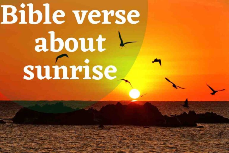 8 Helpful Bible Verse About Sunrise