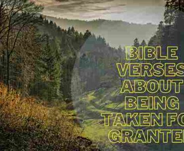 Bible verses about being taken for granted