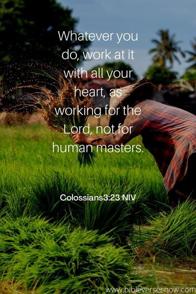 Colossians3_23 NIV