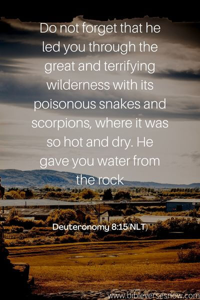 Deuteronomy 8_15(NLT)