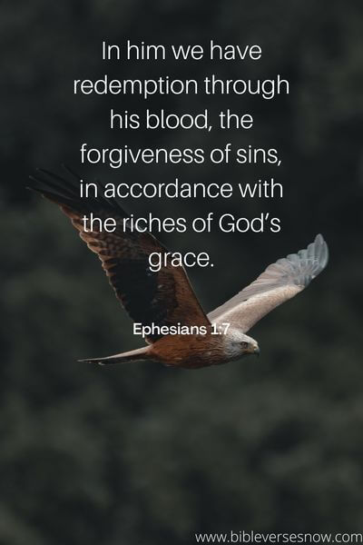 Ephesians 1_7