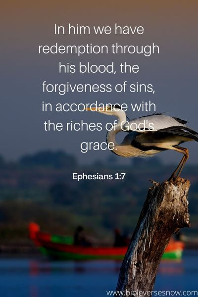 Ephesians 1_7