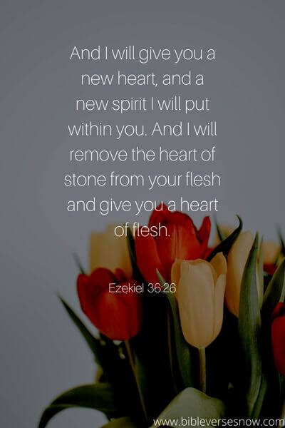 Ezekiel 36_26
