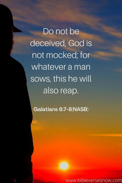 Galatians 6_7-8(NASB)