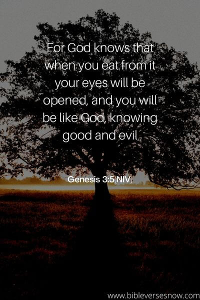 Genesis 3_5(NIV)