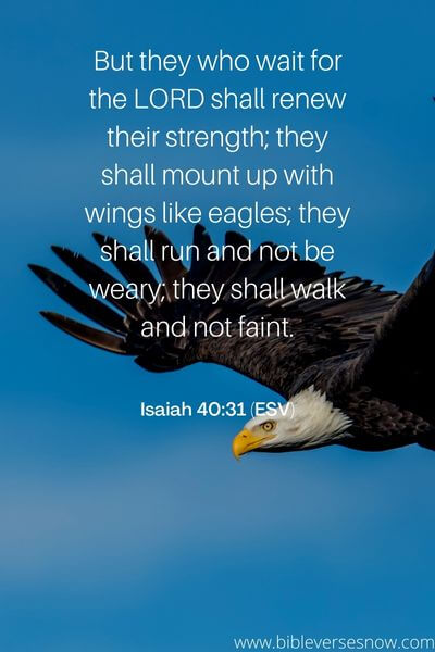 Isaiah 40_31 (ESV)