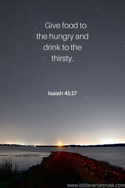 Isaiah 41_17