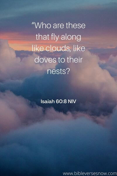 Isaiah 60_8 NIV