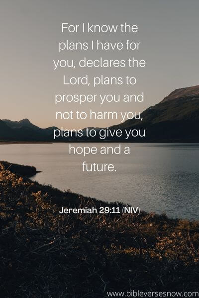 Jeremiah 29_11 (NIV)