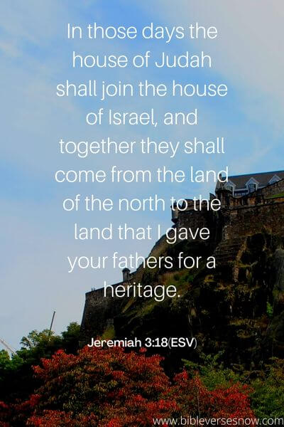 Jeremiah 3_18(ESV)