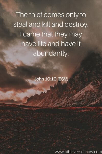 John 10_10 (ESV)