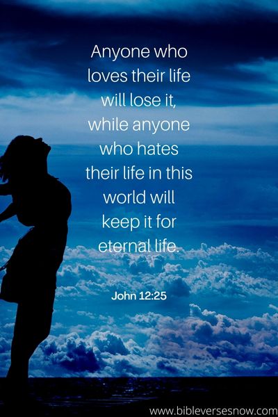 John 12_25