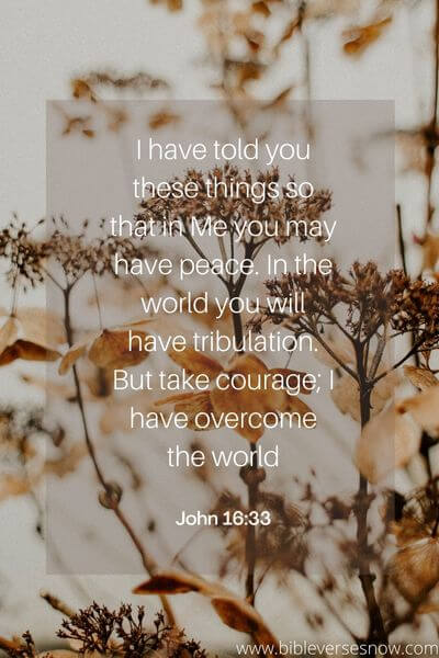 John 16:33(BSB)
