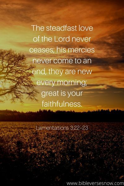 Lamentations 3_22-23