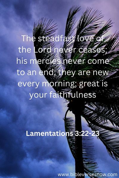 Lamentations 3 22 23