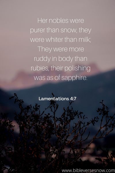 Lamentations 4 7