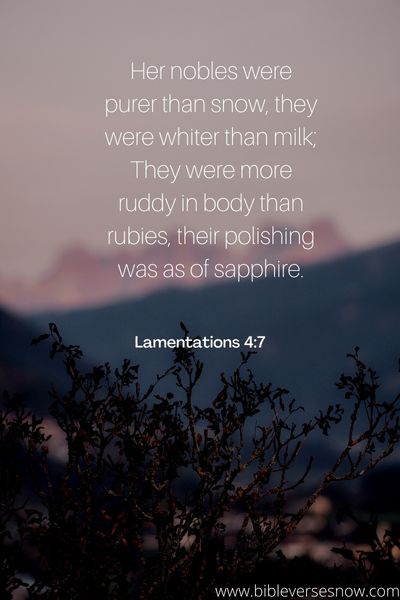 Lamentations 4 7