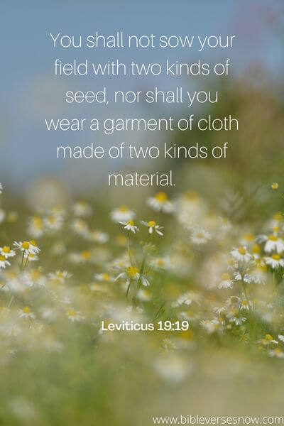 Leviticus 19_19