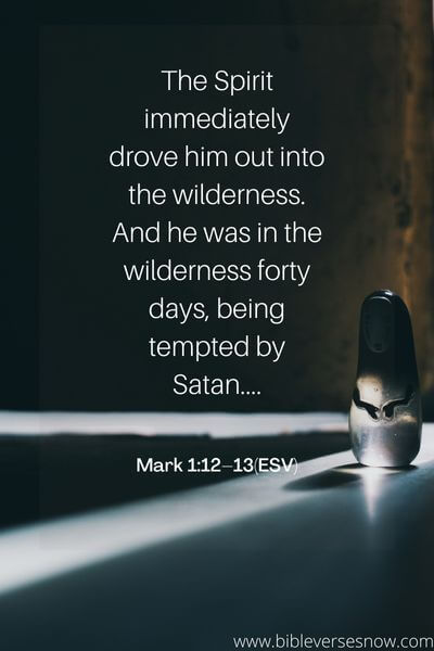 Mark 1_12–13(ESV)