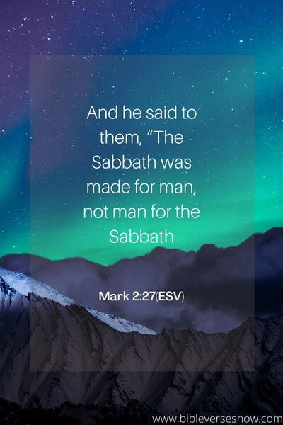 Mark 2:27(ESV)