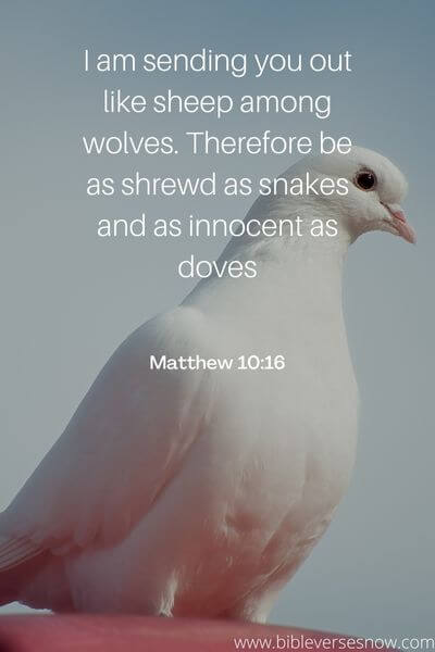 Matthew 10_16