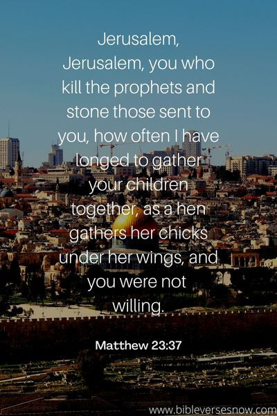 Matthew 23_37