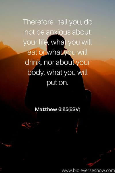 Matthew 6_25(ESV)27_14(NIV)