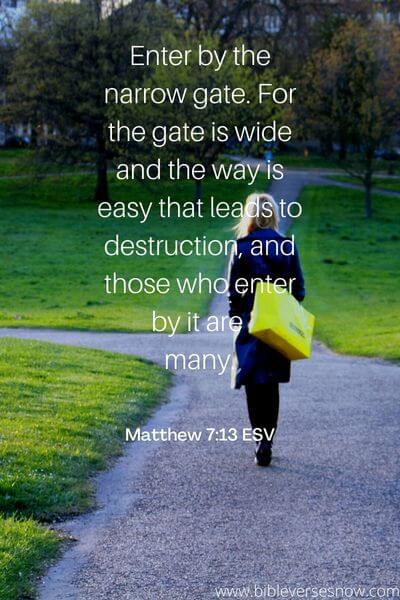 Matthew 7_13 ESV