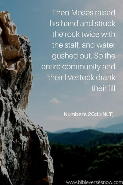 Numbers 20_11(NLT)