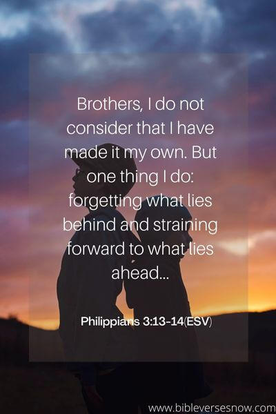Philippians 3:13-14(ESV)