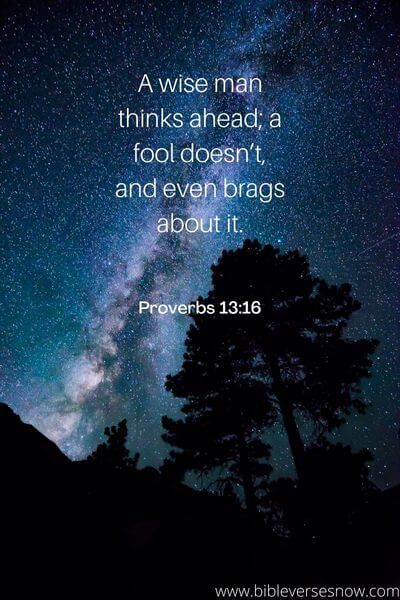 Proverbs 13_16