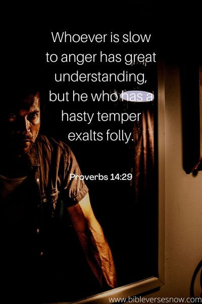 Proverbs 14_29