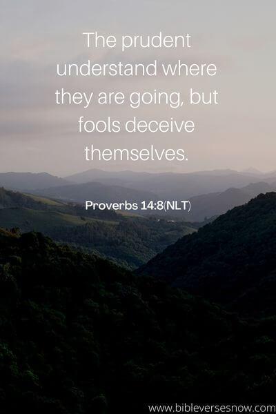Proverbs 14_8(NLT)