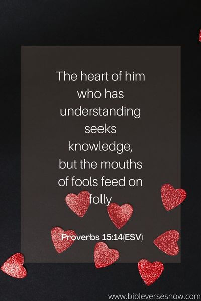 Proverbs 15:14(ESV)