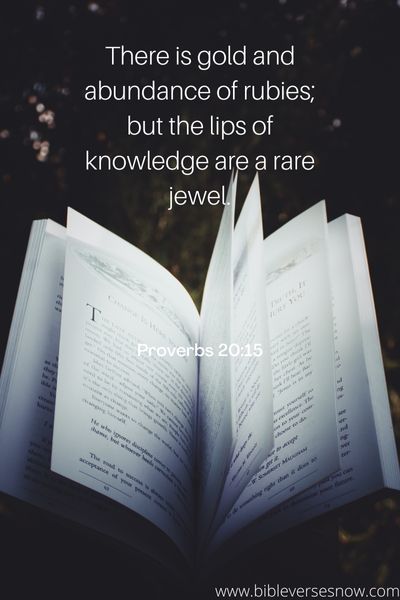 Proverbs 20 15