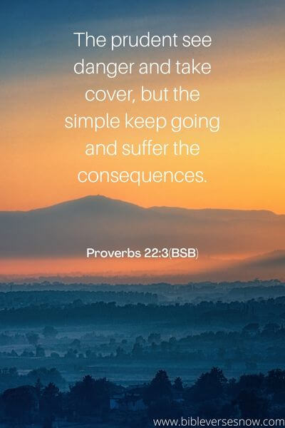 Proverbs 22_3(BSB)