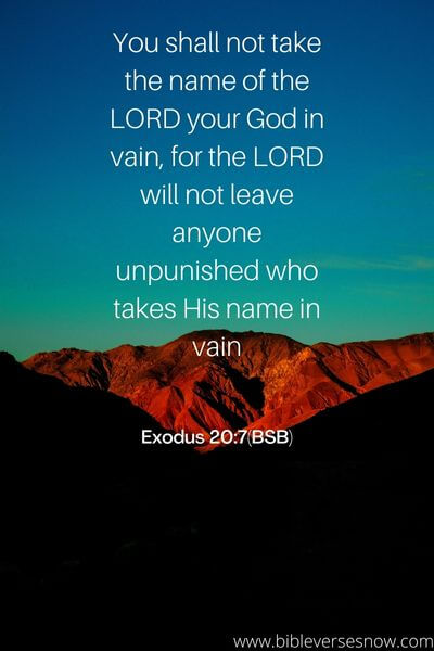 Exodus 20:7(BSB)